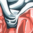 L\